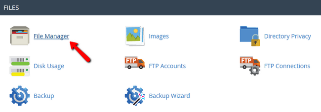 Accessing the FIle manager via cPanel