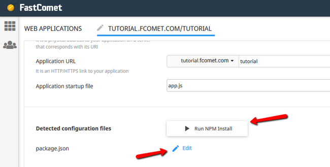 install node js package manager